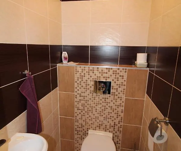 Apartment Baska Velky Slavkov